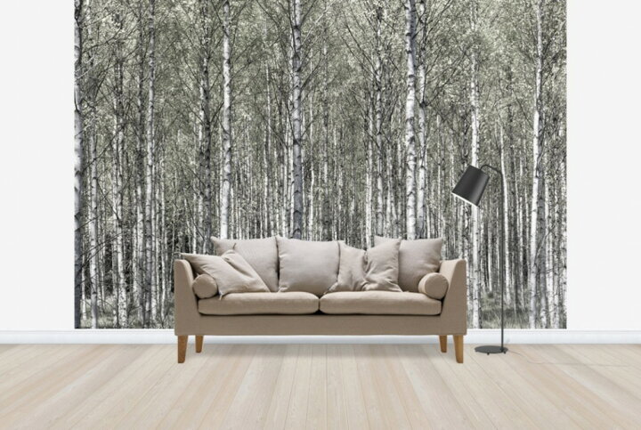 楽天市場 自然 森の壁紙 春 白樺 輸入 カスタム壁紙 Photowall Spring Birch Forest E 貼ってはがせるフリース壁紙 不織布 海外取り寄せのため1カ月程度でお届け 代引き 後払い不可 壁紙屋本舗 カベガミヤホンポ