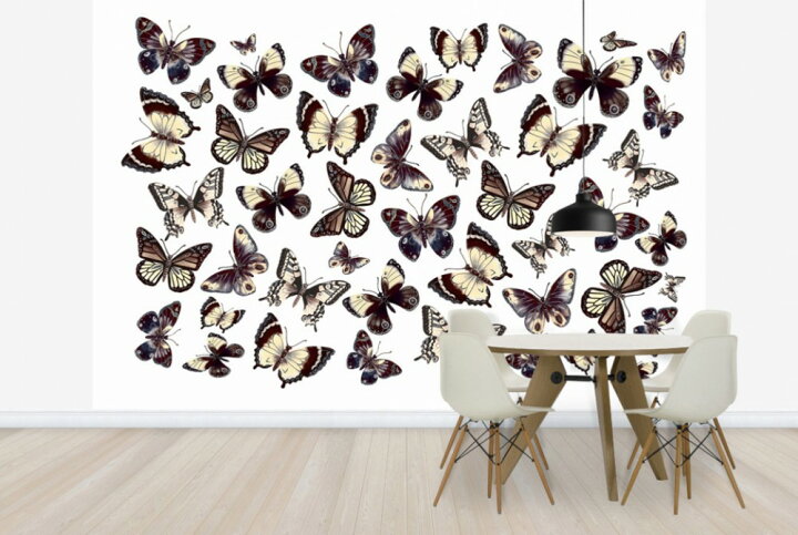 楽天市場 パターン 模様 蝶 ちょうちょ バタフライの壁紙 輸入 カスタム壁紙 Photowall Beautiful Butterflies E 貼ってはがせるフリース壁紙 不織布 海外取り寄せのため1カ月程度でお届け 代引き 後払い不可 壁紙 屋本舗 カベガミヤホンポ