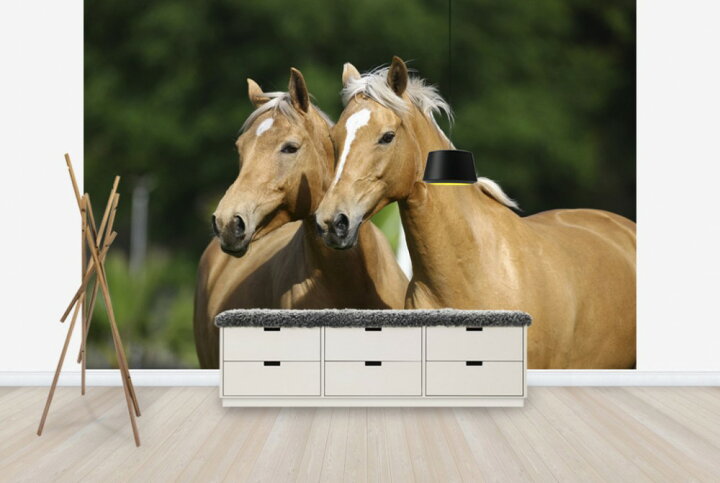 楽天市場 馬 ウマの壁紙 輸入 カスタム壁紙 Photowall Horse Friends E 貼ってはがせるフリース壁紙 不織布 海外取り寄せのため1カ月程度でお届け 代引き 後払い不可 壁紙屋本舗 カベガミヤホンポ