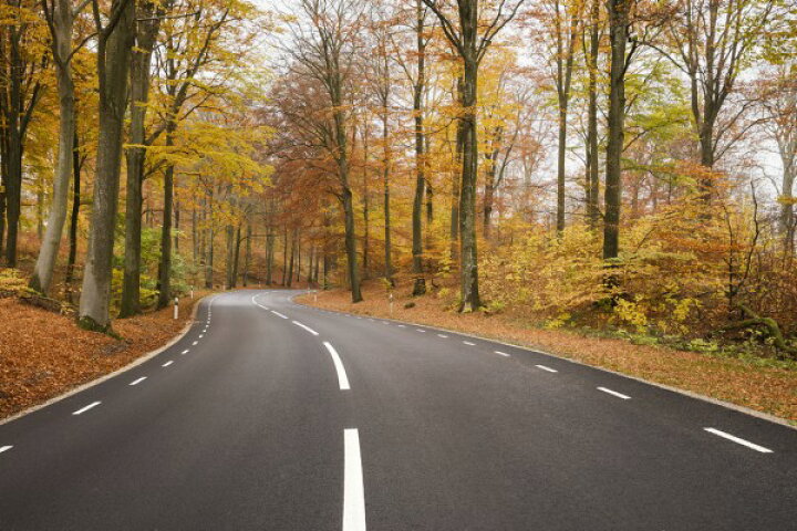楽天市場 風景 景色 自然の壁紙 秋 紅葉 輸入 カスタム壁紙 Photowall Autumn Road In R St Nga Sweden E 貼ってはがせるフリース壁紙 不織布 海外取り寄せのため1カ月程度でお届け 代引き 後払い不可 壁紙 屋本舗 カベガミヤホンポ 楽天市場 風景 景色 自然の壁紙 秋 紅葉 輸入 カスタム壁紙 Photowall Autumn Road In R St Nga Sweden E 貼ってはがせるフリース壁紙 不織布 海外取り寄せのため1カ月程度でお届け 代引き 後払い不可 壁紙 屋本舗 カベガミヤホンポ