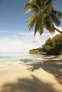 i iF R̕ǎ A JX^ǎ Aǎ JX^ǎ PHOTOWALL / Beach in Saint Lucia, Carribean (e40645) \Ă͂t[Xǎ(sDz) yCO񂹏iz yE㕥sz