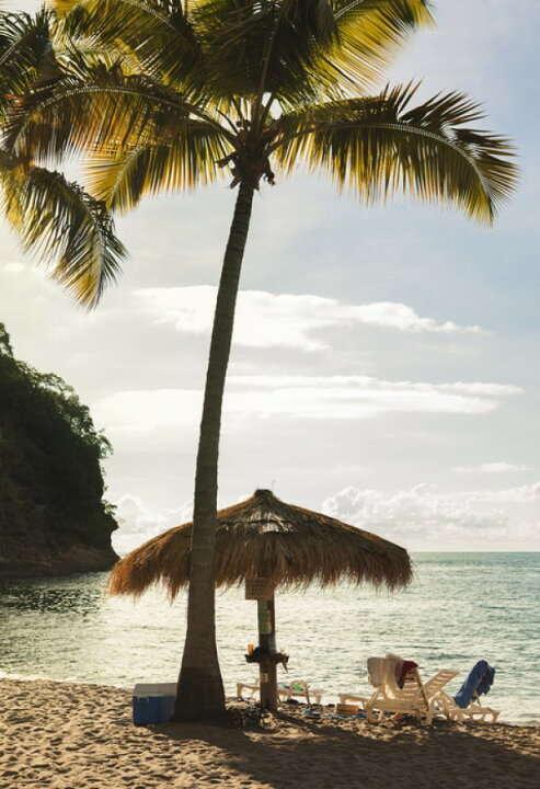 楽天市場 自然 ビーチ 砂浜 海の壁紙 輸入 カスタム壁紙 Photowall Perfect Spot In Saint Lucia Carribean E 貼ってはがせるフリース壁紙 不織布 海外取り寄せのため1カ月程度でお届け 代引き 後払い不可 壁紙 屋本舗 カベガミヤホンポ