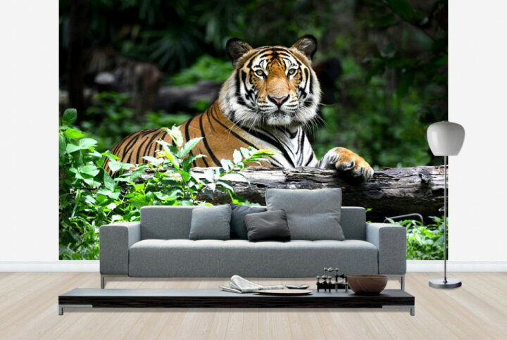 楽天市場 動物 アニマル 虎 トラの壁紙 輸入 カスタム壁紙 Photowall Bengal Tiger E 貼ってはがせるフリース 壁紙 不織布 海外取り寄せのため1カ月程度でお届け 代引き 後払い不可 壁紙屋本舗 カベガミヤホンポ