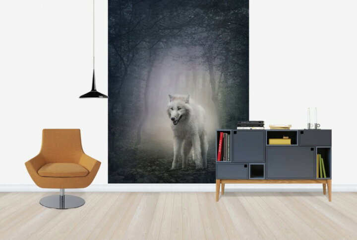 楽天市場 動物 アニマル 狼 オオカミの壁紙 輸入 カスタム壁紙 Photowall White Wolf In The Night Forest E 貼ってはがせるフリース壁紙 不織布 海外取り寄せのため1カ月程度でお届け 代引き 後払い不可 壁紙 屋本舗 カベガミヤホンポ