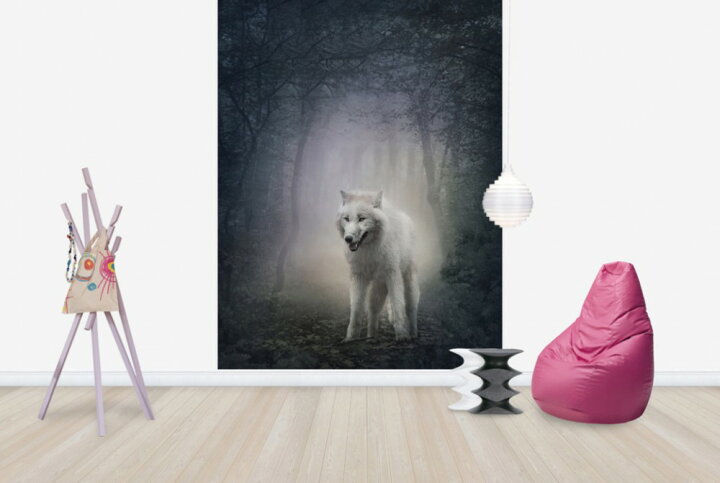 楽天市場 動物 アニマル 狼 オオカミの壁紙 輸入 カスタム壁紙 Photowall White Wolf In The Night Forest E 貼ってはがせるフリース壁紙 不織布 海外取り寄せのため1カ月程度でお届け 代引き 後払い不可 壁紙 屋本舗 カベガミヤホンポ