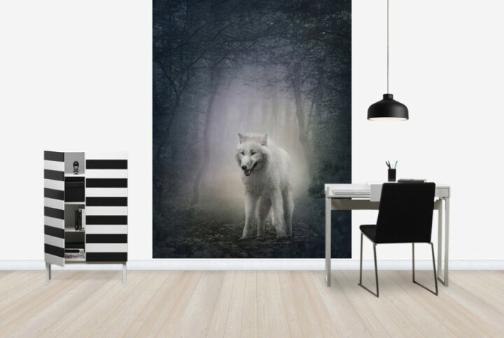 楽天市場 動物 アニマル 狼 オオカミの壁紙 輸入 カスタム壁紙 Photowall White Wolf In The Night Forest E 貼ってはがせるフリース壁紙 不織布 海外取り寄せのため1カ月程度でお届け 代引き 後払い不可 壁紙 屋本舗 カベガミヤホンポ