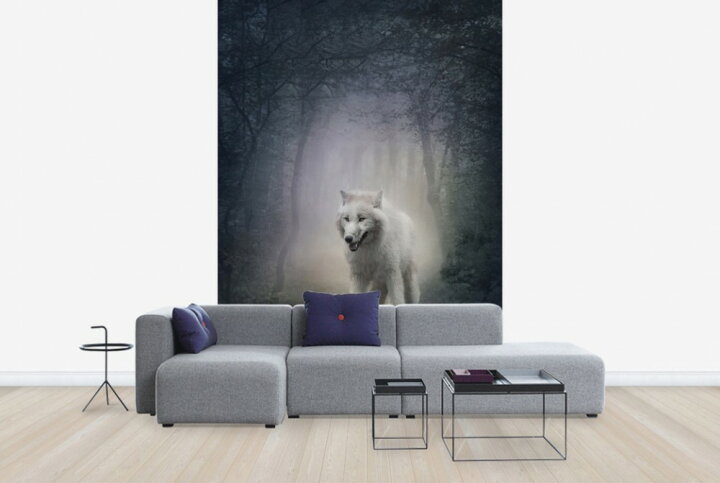 楽天市場 動物 アニマル 狼 オオカミの壁紙 輸入 カスタム壁紙 Photowall White Wolf In The Night Forest E 貼ってはがせるフリース壁紙 不織布 海外取り寄せのため1カ月程度でお届け 代引き 後払い不可 壁紙 屋本舗 カベガミヤホンポ