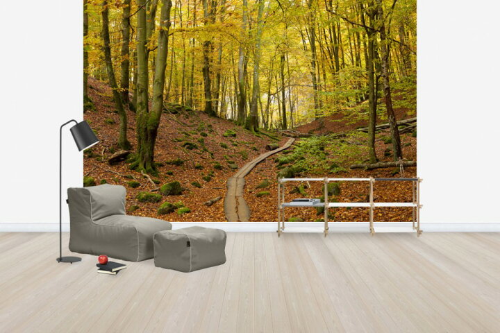楽天市場 森 木目柄 ウッドの壁紙 輸入 カスタム壁紙 Photowall Soderasen Beach Wood Sweden E 貼ってはがせるフリース壁紙 不織布 海外取り寄せのため1カ月程度でお届け 代引き 後払い不可 壁紙 屋本舗 カベガミヤホンポ 楽天市場 森 木目柄 ウッドの壁紙 輸入 カスタム壁紙 Photowall Soderasen Beach Wood Sweden E 貼ってはがせるフリース壁紙 不織布 海外取り寄せのため1カ月程度でお届け 代引き 後払い不可 壁紙 屋本舗 カベガミヤホンポ
