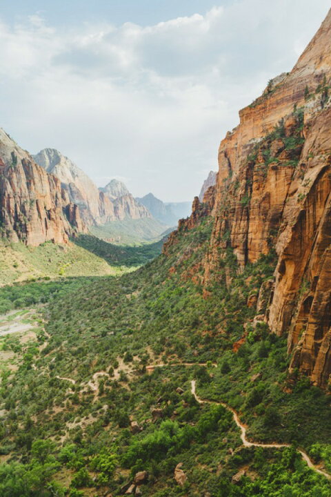 楽天市場 風景 景色 山の壁紙 輸入 カスタム壁紙 Photowall Valley In Zion National Park Usa 0845 貼ってはがせるフリース壁紙 不織布 海外取り寄せのため1カ月程度でお届け 代引き 後払い不可 壁紙 屋本舗 カベガミヤホンポ