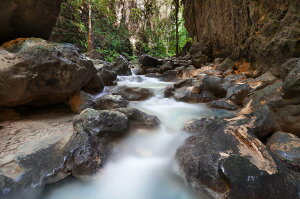 i iF R̕ǎ A JX^ǎ Aǎ JX^ǎ PHOTOWALL / Canyoning at Kawasan Falls II (e41108) \Ă͂t[Xǎ(sDz) yCO񂹏iz yE㕥sz