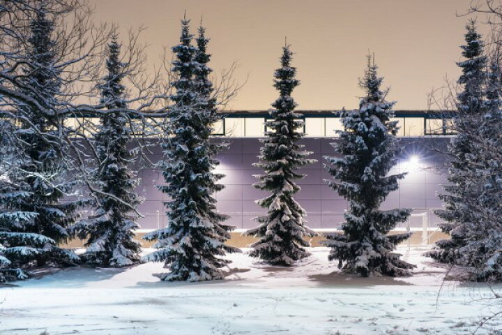 楽天市場 季節 ウィンター 冬 景色 風景 ツリー Tree 木 雪 の壁紙 輸入 カスタム壁紙 Photowall Trees And Snow 貼ってはがせるフリース壁紙 不織布 海外取り寄せのため1カ月程度でお届け 代引き 後払い不可 壁紙 屋本舗 カベガミヤホンポ