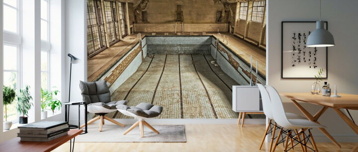 楽天市場 プール 廃墟 建物 建築 の壁紙 輸入 カスタム壁紙 Photowall Abandoned Swimming Pool 貼ってはがせるフリース壁紙 不織布 海外取り寄せのため1カ月程度でお届け 代引き 後払い不可 壁紙 屋本舗 カベガミヤホンポ
