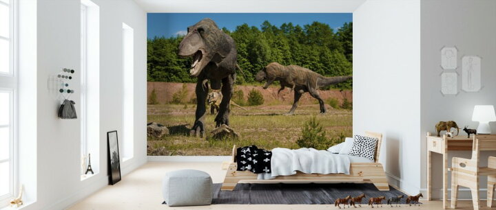 楽天市場 恐竜 ティラノサウルスの壁紙 輸入 カスタム壁紙 Photowall Monstrous Dinosaur 貼ってはがせるフリース壁紙 不織布 海外取り寄せのため1カ月程度でお届け 代引き 後払い不可 壁紙屋本舗 カベガミヤホンポ 楽天市場 恐竜 ティラノサウルスの壁紙 輸入 カスタム壁紙 Photowall Monstrous Dinosaur 貼ってはがせるフリース壁紙 不織布 海外取り寄せのため1カ月程度でお届け 代引き 後払い不可 壁紙屋本舗 カベガミヤホンポ