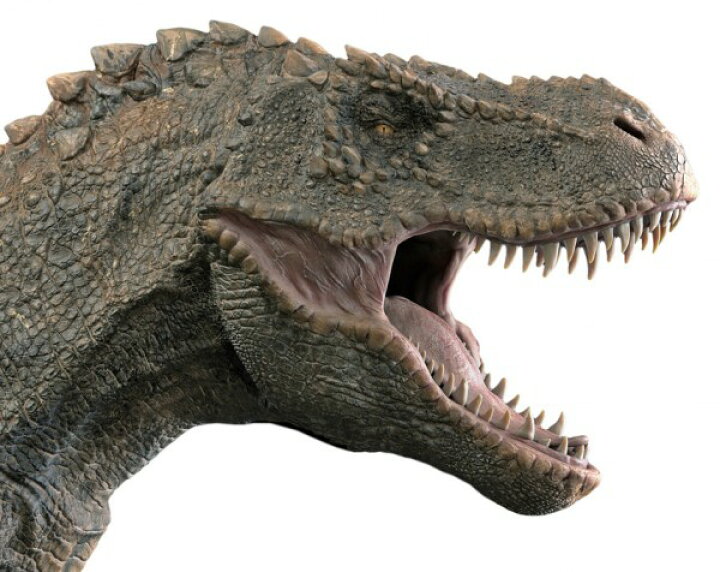 楽天市場 恐竜 ティラノサウルスの壁紙 輸入 カスタム壁紙 Photowall T Rex Dinosaur 貼ってはがせるフリース壁紙 不織布 海外取り寄せのため1カ月程度でお届け 代引き 後払い不可 壁紙屋本舗 カベガミヤホンポ
