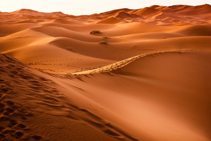 楽天市場 砂漠 自然の壁紙 輸入 カスタム壁紙 Photowall Desert Sand Foot Prints 貼ってはがせるフリース壁紙 不織布 海外取り寄せのため1カ月程度でお届け 代引き 後払い不可 壁紙屋本舗 カベガミヤホンポ 楽天市場 砂漠 自然の壁紙 輸入 カスタム壁紙 Photowall Desert Sand Foot Prints 貼ってはがせるフリース壁紙 不織布 海外取り寄せのため1カ月程度でお届け 代引き 後払い不可 壁紙屋本舗 カベガミヤホンポ