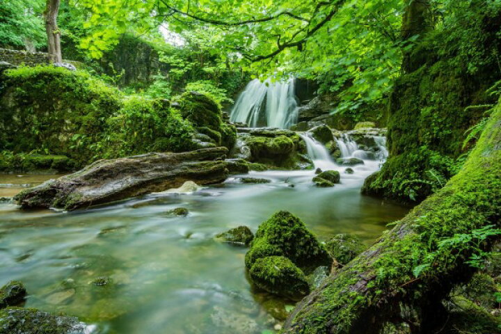 楽天市場 苔 川 渓流 フォレスト 森 森林 自然 滝 の壁紙 輸入 カスタム壁紙 Photowall Waterfall Stream 貼ってはがせるフリース壁紙 不織布 海外取り寄せのため1カ月程度でお届け 代引き 後払い不可 壁紙 屋本舗 カベガミヤホンポ
