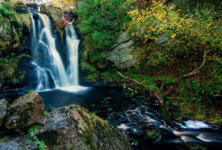 楽天市場 川渓流 フォレスト 森 森林 自然 滝 の壁紙 輸入 カスタム壁紙 Photowall Valley Of Desolation Waterfall 貼ってはがせるフリース壁紙 不織布 海外取り寄せのため1カ月程度でお届け 代引き 後払い不可 壁紙 屋本舗 カベガミヤホンポ