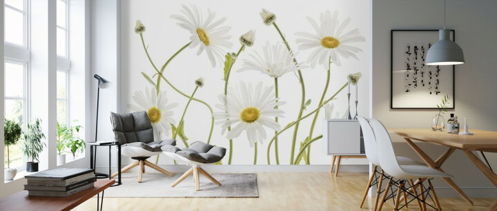 楽天市場 デイジー フラワー 花 フローラル の壁紙 輸入 カスタム壁紙 Photowall Ox Eye Daisies 貼ってはがせるフリース壁紙 不織布 海外取り寄せのため1カ月程度でお届け 代引き 後払い不可 壁紙屋本舗 カベガミヤホンポ