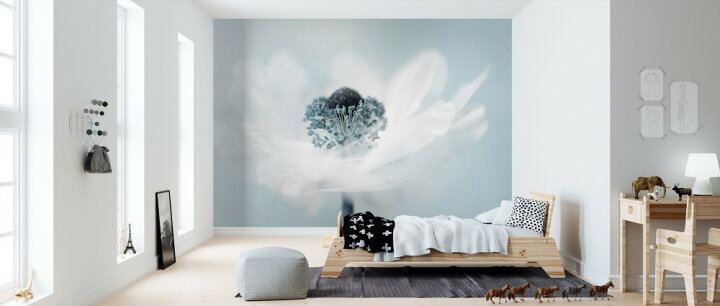 楽天市場 ターコイズ ブルー 青 花 フラワー の壁紙 輸入 カスタム壁紙 Photowall Candy Floss 貼ってはがせるフリース壁紙 不織布 海外取り寄せのため1カ月程度でお届け 代引き 後払い不可 壁紙屋本舗 カベガミヤホンポ 楽天市場 ターコイズ ブルー 青 花 フラワー の壁紙 輸入 カスタム壁紙 Photowall Candy Floss 貼ってはがせるフリース壁紙 不織布 海外取り寄せのため1カ月程度でお届け 代引き 後払い不可 壁紙屋本舗 カベガミヤホンポ