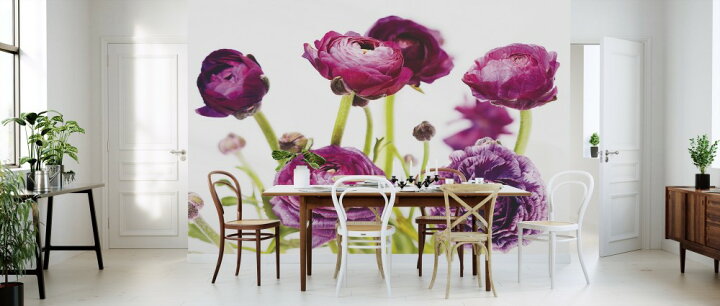 楽天市場 ラナンキュラス キンポウゲ 紫 花の壁紙 輸入 カスタム壁紙 Photowall Spring Ranunculus Iii 貼ってはがせるフリース壁紙 不織布 海外取り寄せのため1カ月程度でお届け 代引き 後払い不可 壁紙 屋本舗 カベガミヤホンポ