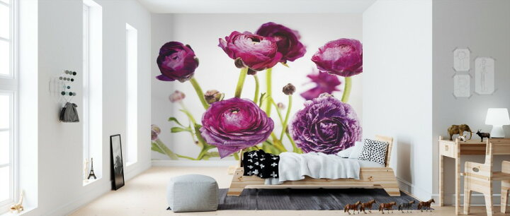 楽天市場 ラナンキュラス キンポウゲ 紫 花の壁紙 輸入 カスタム壁紙 Photowall Spring Ranunculus Iii 貼ってはがせるフリース壁紙 不織布 海外取り寄せのため1カ月程度でお届け 代引き 後払い不可 壁紙 屋本舗 カベガミヤホンポ