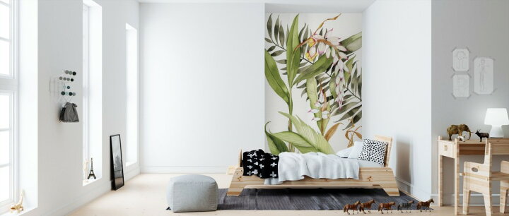 楽天市場 ボタニカルアート 花 ビンテージ アンティークの壁紙 輸入 カスタム壁紙 Photowall Botanical Shell Ginger Crop 貼ってはがせるフリース壁紙 不織布 海外取り寄せのため1カ月程度でお届け 代引き 後払い不可 壁紙屋本舗 カベガミヤホンポ