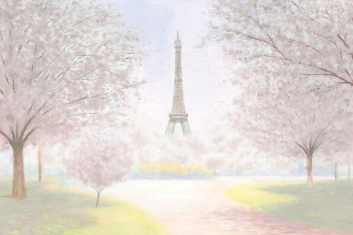 楽天市場 パリエッフェル塔 絵画 アート風景 景色 風景画の壁紙 輸入 カスタム壁紙 Photowall Pretty Paris 貼ってはがせるフリース壁紙 不織布 海外取り寄せのため1カ月程度でお届け 代引き 後払い不可 壁紙 屋本舗 カベガミヤホンポ