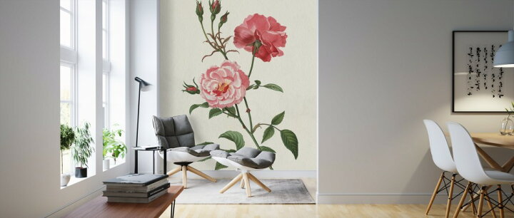 楽天市場 花 バラ 薔薇 ばら ローズの壁紙 輸入 カスタム壁紙 Photowall Rosa 貼ってはがせるフリース壁紙 不織布 海外取り寄せのため1カ月程度でお届け 代引き 後払い不可 壁紙屋本舗 カベガミヤホンポ
