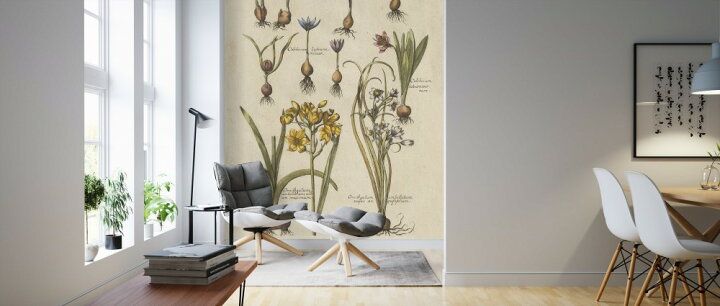 楽天市場 花植物 植物図鑑 ボタニカル植物の壁紙 輸入 カスタム壁紙 Photowall Vintage Florilegium Ii 貼ってはがせるフリース壁紙 不織布 海外取り寄せのため1カ月程度でお届け 代引き 後払い不可 壁紙 屋本舗 カベガミヤホンポ 楽天市場 花植物 植物図鑑 ボタニカル植物の壁紙 輸入 カスタム壁紙 Photowall Vintage Florilegium Ii 貼ってはがせるフリース壁紙 不織布 海外取り寄せのため1カ月程度でお届け 代引き 後払い不可 壁紙 屋本舗 カベガミヤホンポ