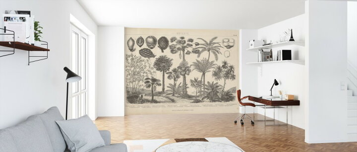 楽天市場 ボタニカルアート アンティーク ビンテージ 植物 博物画の壁紙 輸入 カスタム壁紙 Photowall Botanik Ii Vintage 102 貼ってはがせるフリース壁紙 不織布 海外取り寄せのため1カ月程度でお届け 代引き 後払い不可 壁紙 屋本舗 カベガミヤホンポ