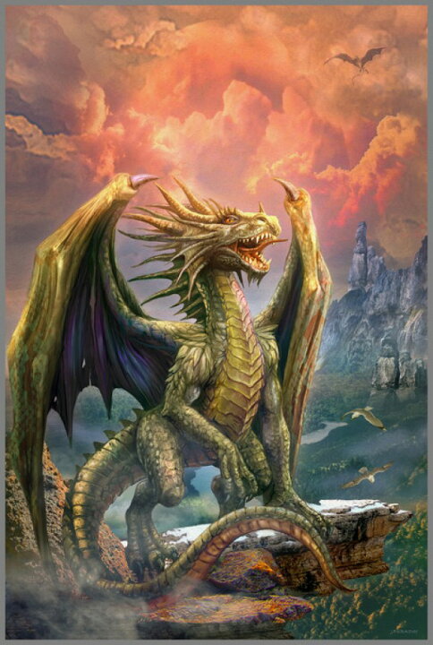 楽天市場 ドラゴン ファンタジー 山の壁紙 輸入 カスタム壁紙 Photowall Dragon On The Rock 貼ってはがせるフリース壁紙 不織布 海外取り寄せのため1カ月程度でお届け 代引き 後払い不可 壁紙屋本舗 カベガミヤホンポ