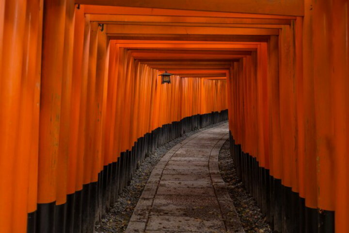 楽天市場 鳥居 日本 ジャパン 観光地の壁紙 輸入 カスタム壁紙 Photowall Japan Tunnel 122 貼ってはがせるフリース壁紙 不織布 海外取り寄せのため1カ月程度でお届け 代引き 後払い不可 壁紙屋本舗 カベガミヤホンポ