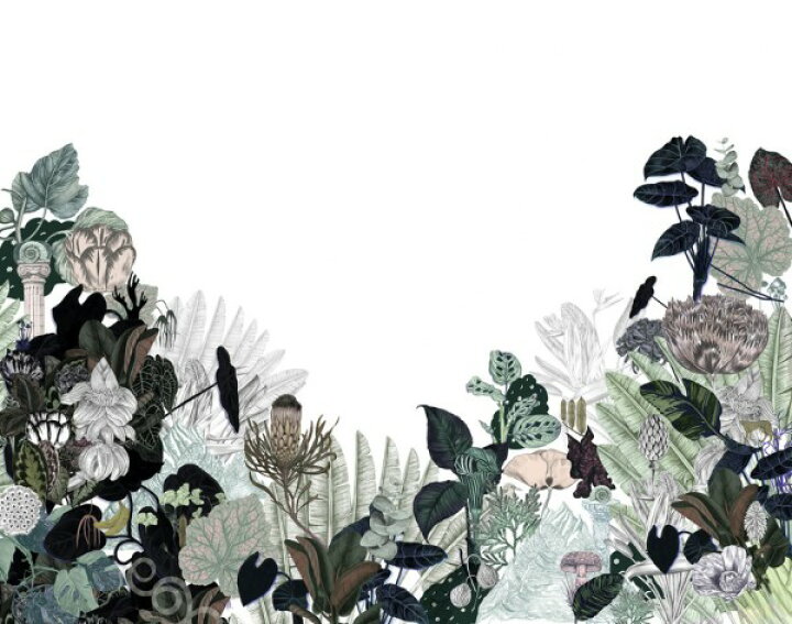 楽天市場 ボタニカル 植物 ダークグリーンの壁紙 輸入 カスタム壁紙 Photowall Paradise Lost 貼ってはがせるフリース壁紙 不織布 海外取り寄せのため1カ月程度でお届け 代引き 後払い不可 壁紙屋本舗 カベガミヤホンポ