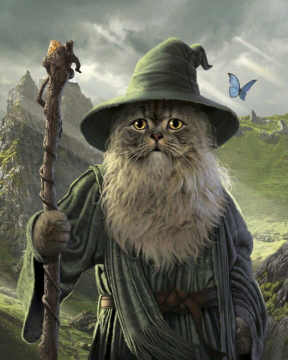 楽天市場 猫 魔法使い ウィザード ファンタジーの壁紙 輸入 カスタム壁紙 Photowall Catdalf Def 139 貼ってはがせるフリース壁紙 不織布 海外取り寄せのため1カ月程度でお届け 代引き 後払い不可 壁紙屋本舗 カベガミヤホンポ