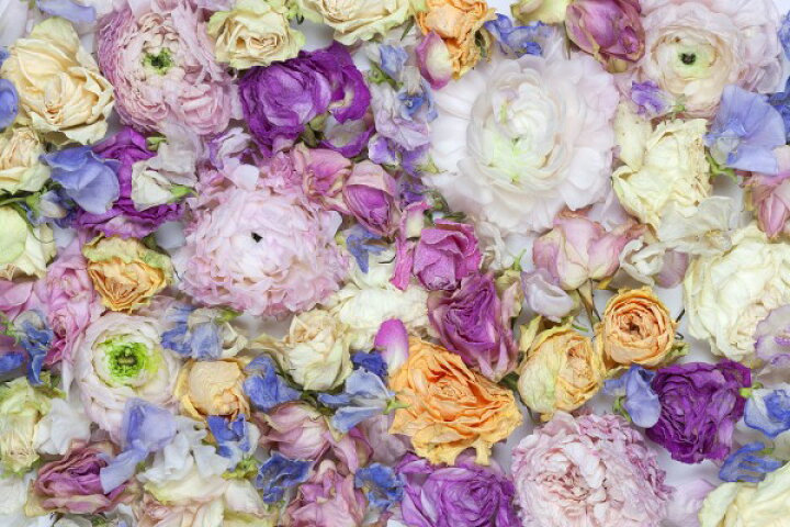 楽天市場 花 バラ 花束の壁紙 輸入 カスタム壁紙 Photowall Garden Roses Iii 貼ってはがせるフリース 壁紙 不織布 海外取り寄せのため1カ月程度でお届け 代引き 後払い不可 壁紙屋本舗 カベガミヤホンポ