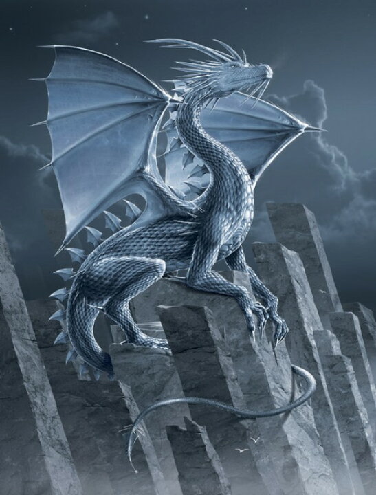 楽天市場 ドラゴン ファンタジーの壁紙 輸入 カスタム壁紙 Photowall Silver Dragon 貼ってはがせるフリース壁紙 不織布 海外取り寄せのため1カ月程度でお届け 代引き 後払い不可 壁紙屋本舗 カベガミヤホンポ 楽天市場 ドラゴン ファンタジーの壁紙 輸入 カスタム壁紙 Photowall Silver Dragon 貼ってはがせるフリース壁紙 不織布 海外取り寄せのため1カ月程度でお届け 代引き 後払い不可 壁紙屋本舗 カベガミヤホンポ