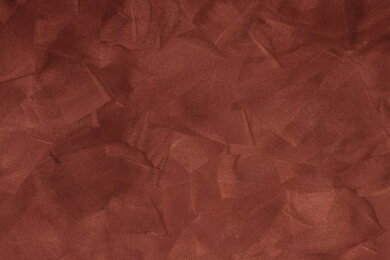 すべての花の画像 ユニーク壁紙 テクスチャー