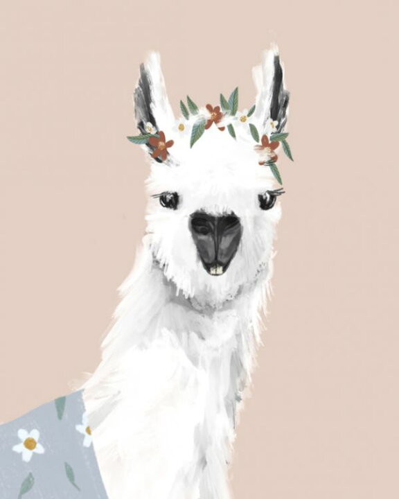 楽天市場 アルパカ かわいいの壁紙 輸入 カスタム壁紙 Photowall Delightful Alpacas 貼ってはがせるフリース壁紙 不織布 海外取り寄せのため1カ月程度でお届け 代引き 後払い不可 壁紙屋本舗 カベガミヤホンポ