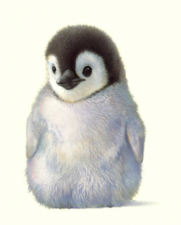 楽天市場 ペンギン 赤ちゃん かわいいの壁紙 輸入 カスタム壁紙 Photowall Penguin Chick 126 貼ってはがせるフリース壁紙 不織布 海外取り寄せのため1カ月程度でお届け 代引き 後払い不可 壁紙屋本舗 カベガミヤホンポ