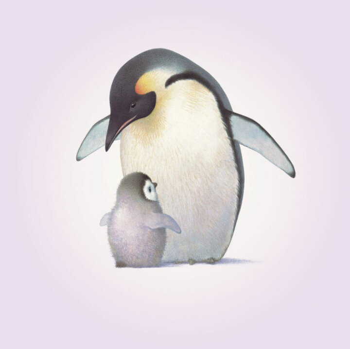 楽天市場 ペンギン キングペンギン かわいいの壁紙 輸入 カスタム壁紙 Photowall Penguin Chick 貼ってはがせるフリース壁紙 不織布 海外取り寄せのため1カ月程度でお届け 代引き 後払い不可 壁紙屋本舗 カベガミヤホンポ 楽天市場 ペンギン キングペンギン かわいいの壁紙 輸入 カスタム壁紙 Photowall Penguin Chick 貼ってはがせるフリース壁紙 不織布 海外取り寄せのため1カ月程度でお届け 代引き 後払い不可 壁紙屋本舗 カベガミヤホンポ