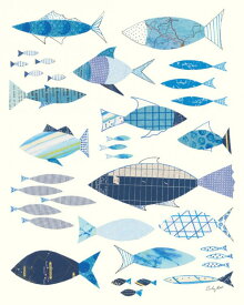 かっこいい リアル 魚 イラスト 最高の画像壁紙日本aad