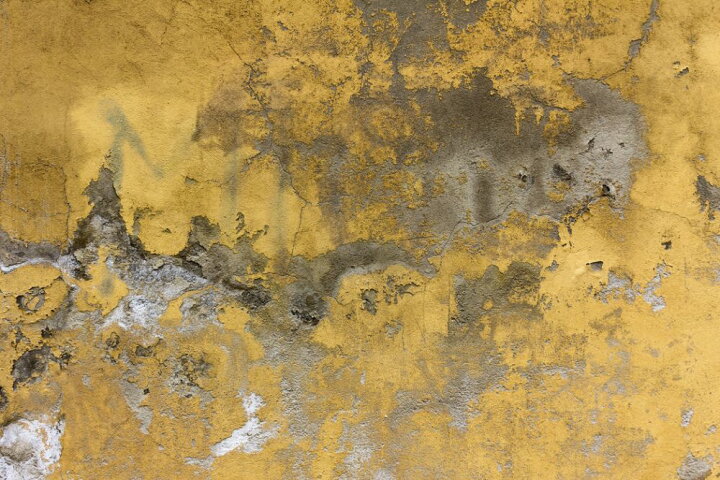 楽天市場 コンクリート 黄色の壁紙 輸入 カスタム壁紙 Photowall Plastered Surface 貼ってはがせるフリース壁紙 不織布 海外取り寄せのため1カ月程度でお届け 代引き 後払い不可 壁紙屋本舗 カベガミヤホンポ