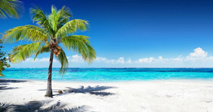 楽天市場 ヤシの木 ビーチ 海の壁紙 輸入 カスタム壁紙 Photowall Coral Beach With Palm Tree 貼ってはがせるフリース壁紙 不織布 海外取り寄せのため1カ月程度でお届け 代引き 後払い不可 壁紙屋本舗 カベガミヤホンポ