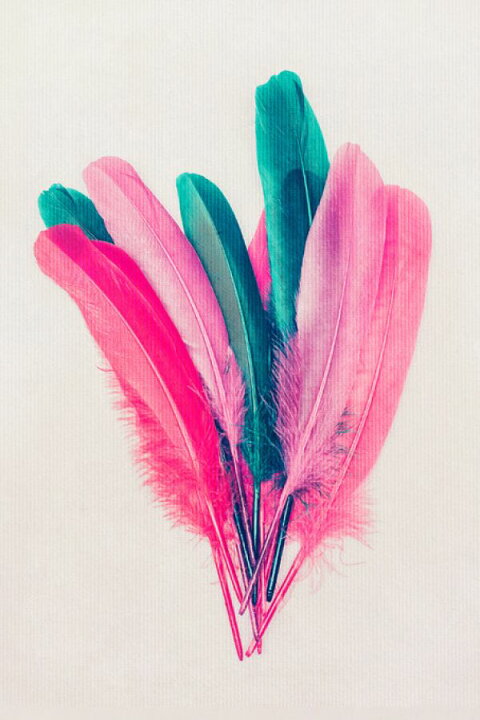楽天市場 羽 フェザー カラフルの壁紙 輸入 カスタム壁紙 Photowall Feather Bouquet 貼ってはがせるフリース壁紙 不織布 海外取り寄せのため1カ月程度でお届け 代引き 後払い不可 壁紙屋本舗 カベガミヤホンポ 楽天市場 羽 フェザー カラフルの壁紙 輸入 カスタム壁紙 Photowall Feather Bouquet 貼ってはがせるフリース壁紙 不織布 海外取り寄せのため1カ月程度でお届け 代引き 後払い不可 壁紙屋本舗 カベガミヤホンポ