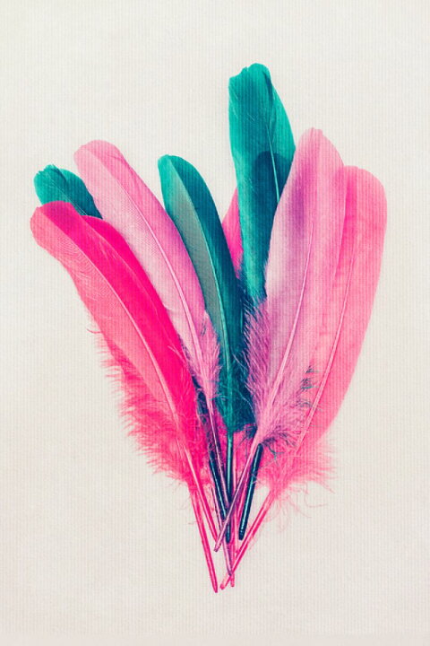 楽天市場 羽 フェザー カラフルの壁紙 輸入 カスタム壁紙 Photowall Feather Bouquet 貼ってはがせるフリース壁紙 不織布 海外取り寄せのため1カ月程度でお届け 代引き 後払い不可 壁紙屋本舗 カベガミヤホンポ 楽天市場 羽 フェザー カラフルの壁紙 輸入 カスタム壁紙 Photowall Feather Bouquet 貼ってはがせるフリース壁紙 不織布 海外取り寄せのため1カ月程度でお届け 代引き 後払い不可 壁紙屋本舗 カベガミヤホンポ