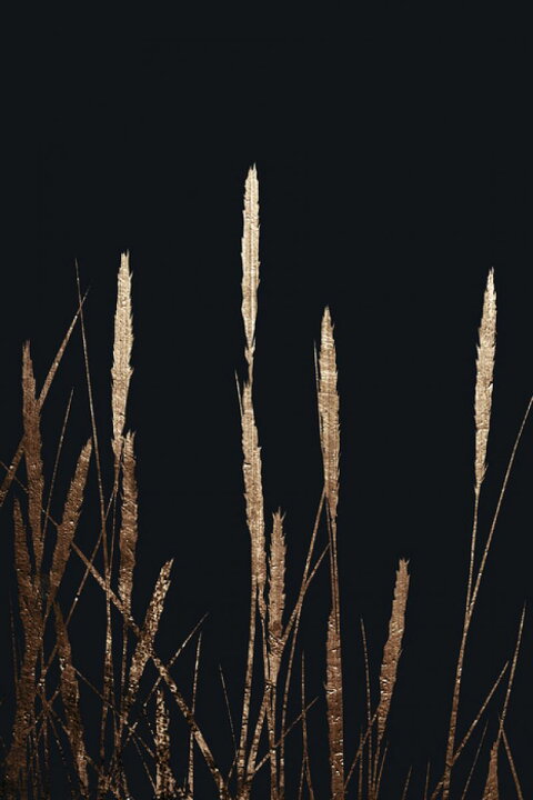 楽天市場 黒 ブラック ゴールド 金 草の壁紙 輸入 カスタム壁紙 Photowall Golden Fields In The Dark 貼ってはがせるフリース壁紙 不織布 海外取り寄せのため1カ月程度でお届け 代引き 後払い不可 壁紙 屋本舗 カベガミヤホンポ