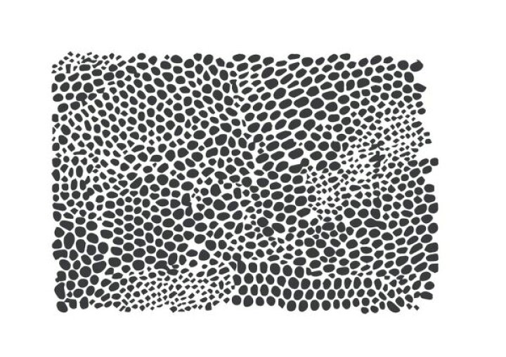 楽天市場 へび革 イラスト モノクロの壁紙 輸入 カスタム壁紙 Photowall Snakeskin 貼ってはがせるフリース壁紙 不織布 海外取り寄せのため1カ月程度でお届け 代引き 後払い不可 壁紙屋本舗 カベガミヤホンポ