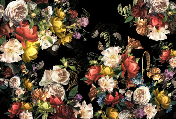 楽天市場 花 黒 ブラックの壁紙 輸入 カスタム壁紙 Photowall Colorful Flowers 貼ってはがせるフリース壁紙 不織布 海外取り寄せのため1カ月程度でお届け 代引き 後払い不可 壁紙屋本舗 カベガミヤホンポ