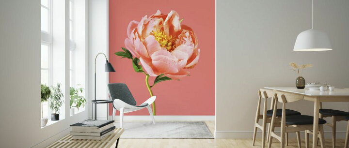 楽天市場 ピオニー ピンク 花の壁紙 輸入 カスタム壁紙 Photowall Peony On Coral 貼ってはがせるフリース壁紙 不織布 海外取り寄せのため1カ月程度でお届け 代引き 後払い不可 壁紙屋本舗 カベガミヤホンポ