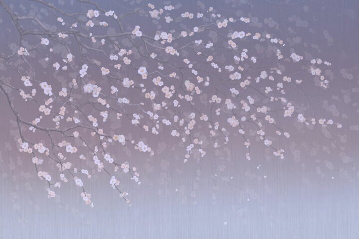 楽天市場 桜 サクラ 花 紫 ピンク 花見 エア花見 の壁紙 輸入 カスタム壁紙 Photowall Sakura Purplish 貼ってはがせるフリース壁紙 不織布 海外取り寄せのため1カ月程度でお届け 代引き 後払い不可 壁紙 屋本舗 カベガミヤホンポ 楽天市場 桜 サクラ 花 紫 ピンク 花見 エア花見 の壁紙 輸入 カスタム壁紙 Photowall Sakura Purplish 貼ってはがせるフリース壁紙 不織布 海外取り寄せのため1カ月程度でお届け 代引き 後払い不可 壁紙 屋本舗 カベガミヤホンポ